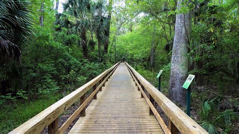 hotels in longwood|Top Hotels in Longwood, FL .